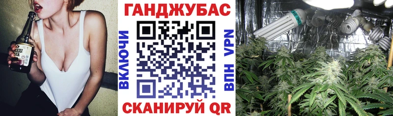 Каннабис сатива Армянск
